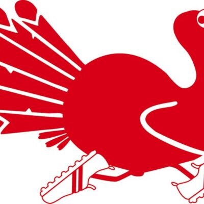 BCard Logo Thumbnail